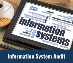 Information System Audit.
